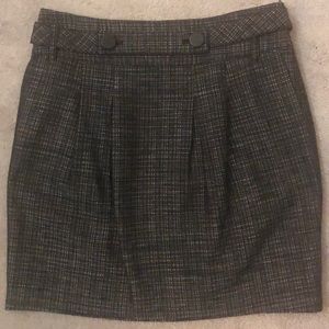 Ann Taylor Skirt
